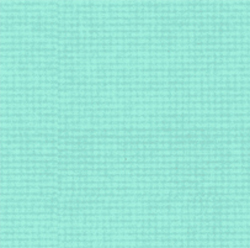 Popcorn the Bear by Quilting Treasures - Tiny Check Teal
